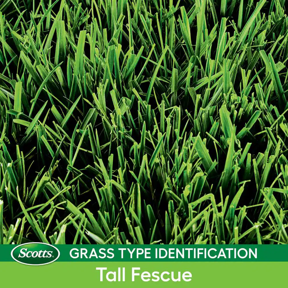 Turf Builder Grass Seed Annual Program Tall Fescue Mix for Small Lawns