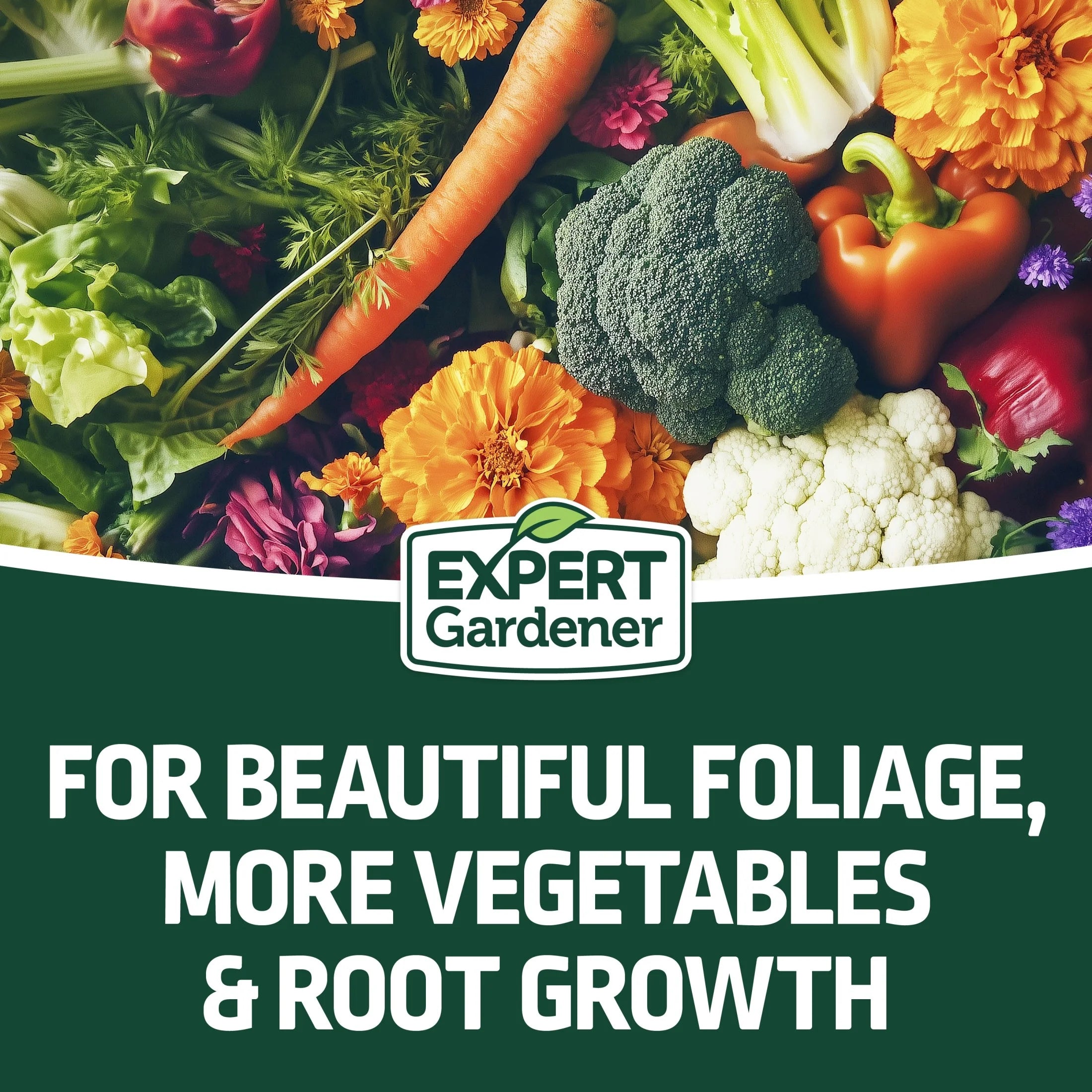 All Purpose Plant Fertilizer, 10-10-10 Fertilizer, 10 Lb.