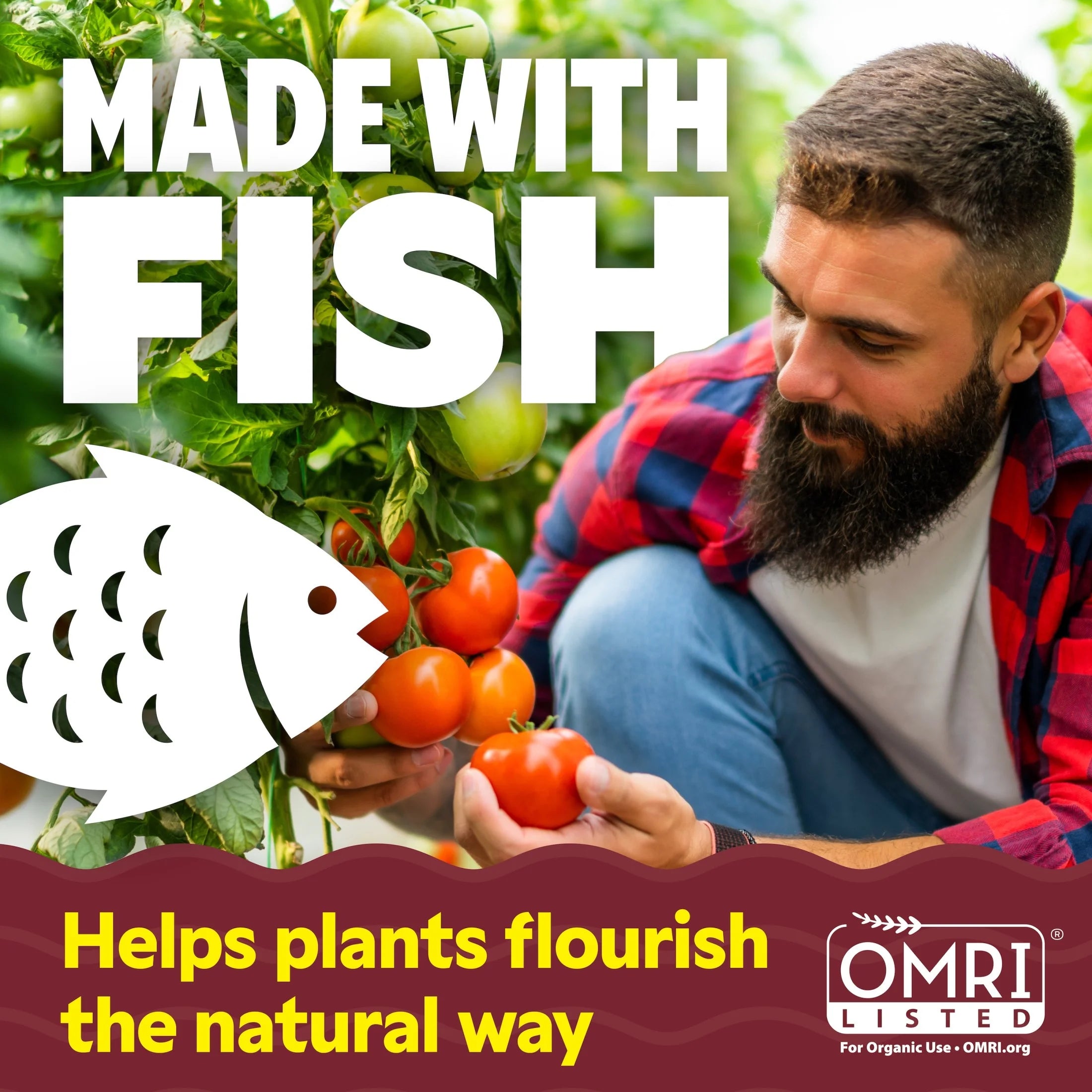 Fish Emulsion Fertilizer 5-1-1, 5-Gallon