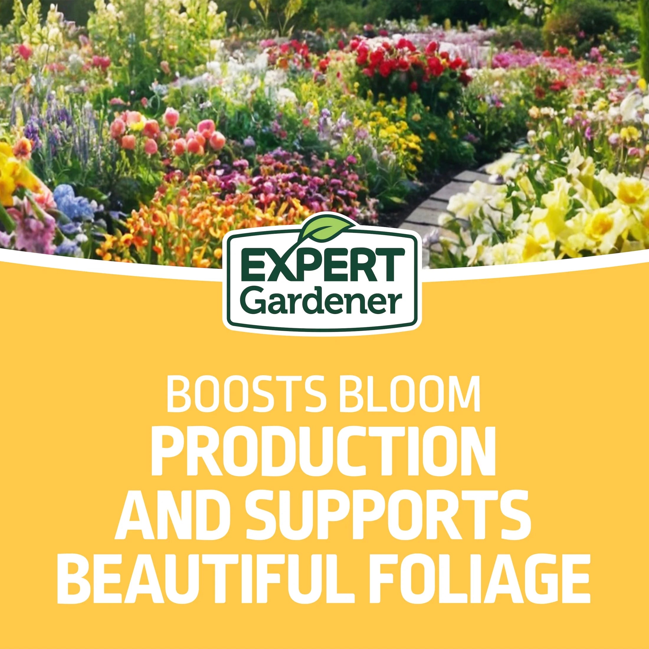 Flower Plant Food Fertilizer 10-10-10, 4 Lb.