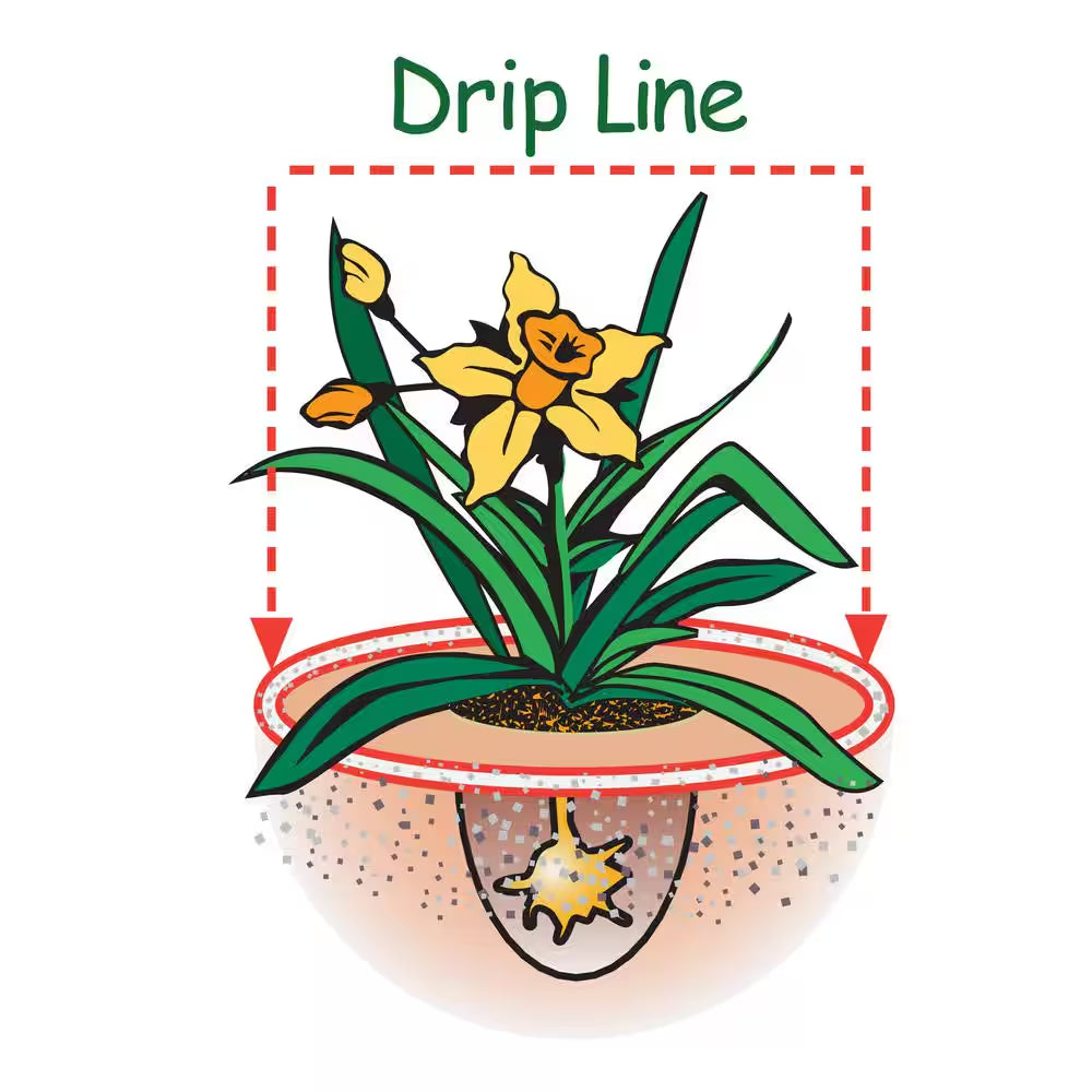 Citrus Tone 8 Lb. Organic Citrus and Avocado Plant Food 5-2-6