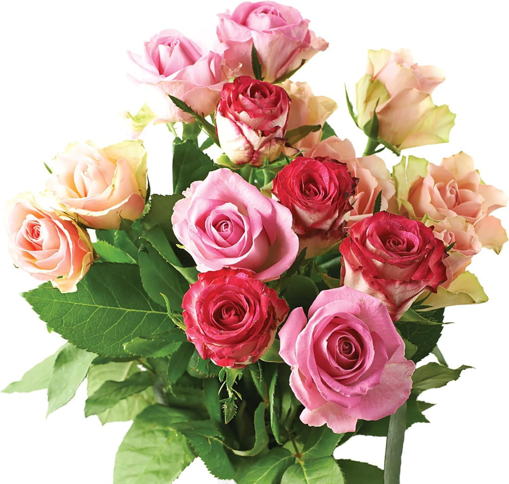 Jobe'S Organics Granular Rose Fertilizer, Organic Plant Fertilizer for Rose, Hyd