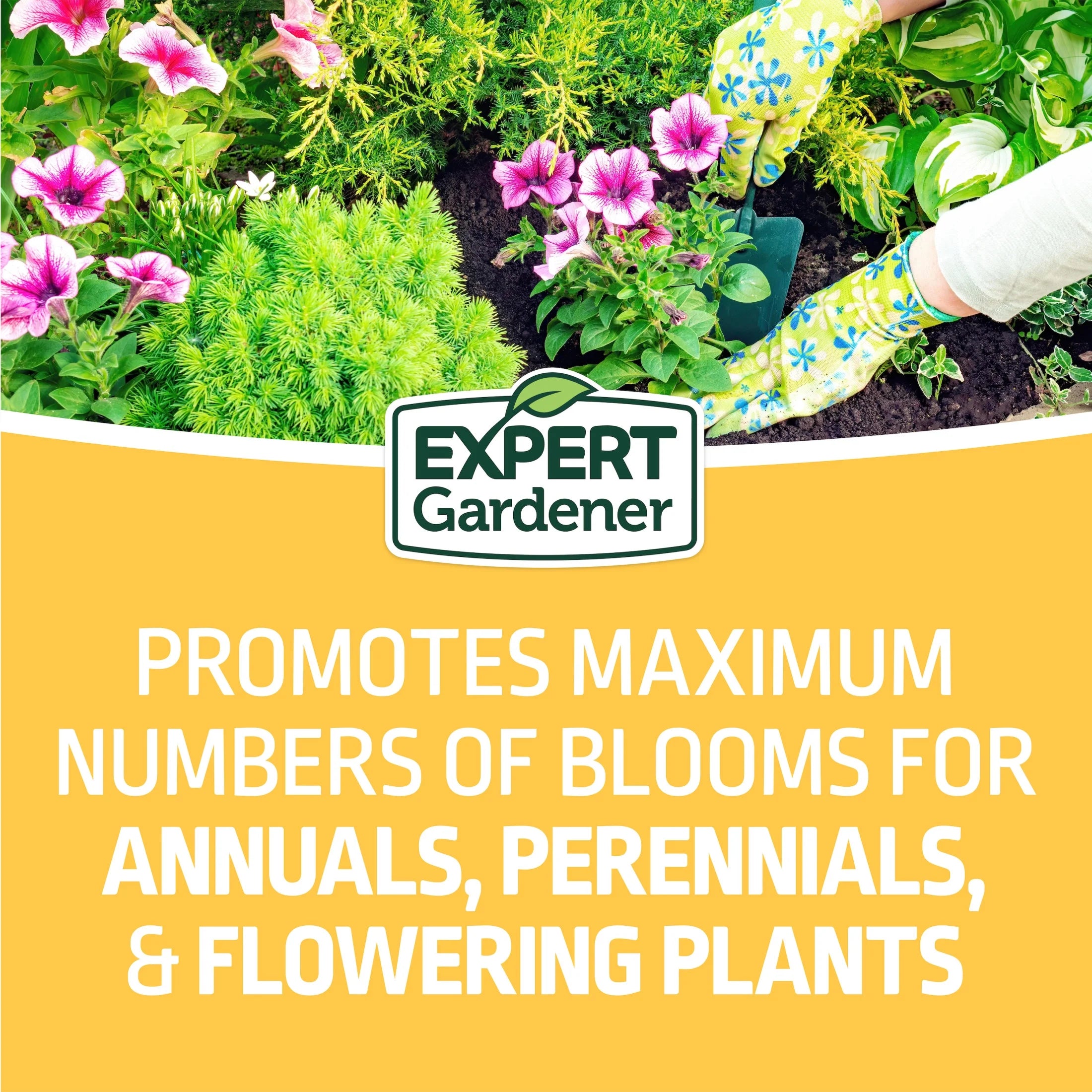 Flower Plant Food Fertilizer 10-10-10, 4 Lb.